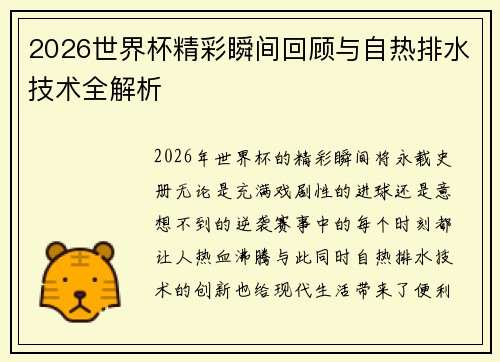 2026世界杯精彩瞬间回顾与自热排水技术全解析